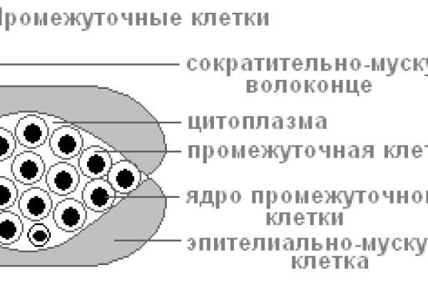 Kraken onion ссылка