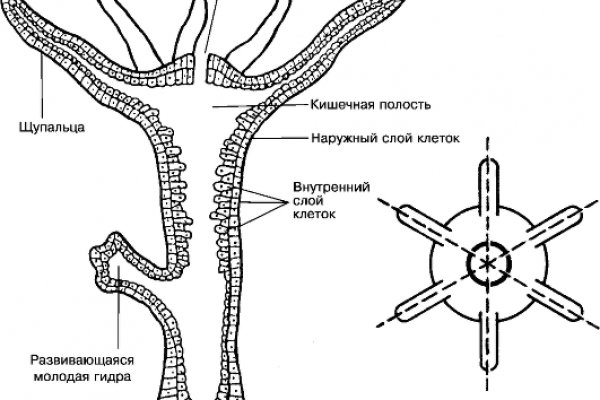 Kraken магазин интернет