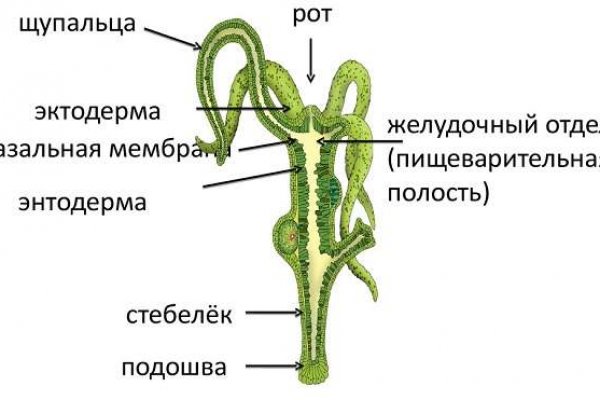 Актуальная ссылка на кракен kraken014 com