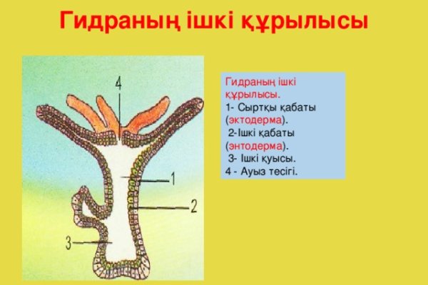 Дарк нет кракен